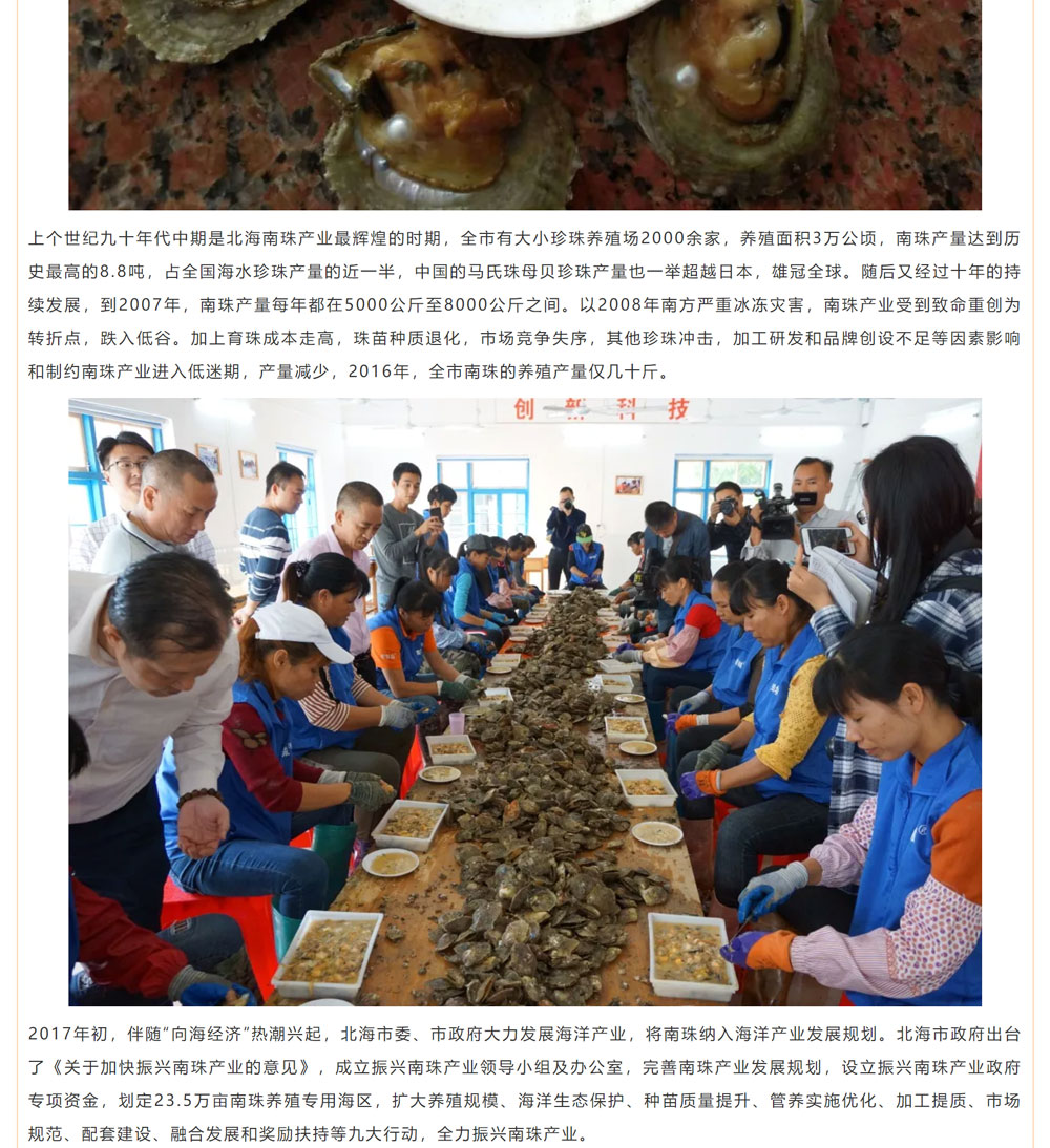 古老南珠，綻放異彩