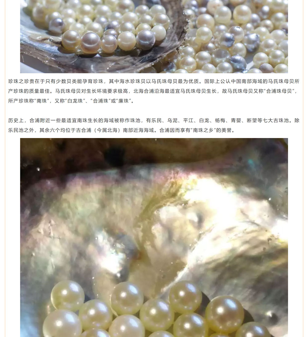古老南珠，綻放異彩